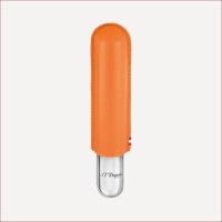 Etui für eine Zigarre Orange
