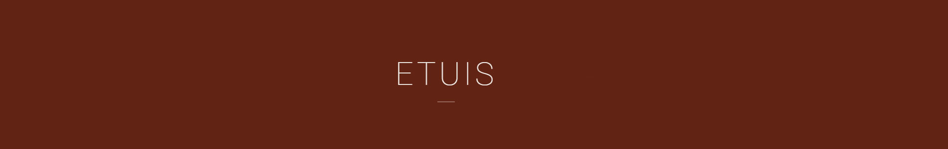 S.T. Dupont Etuis
